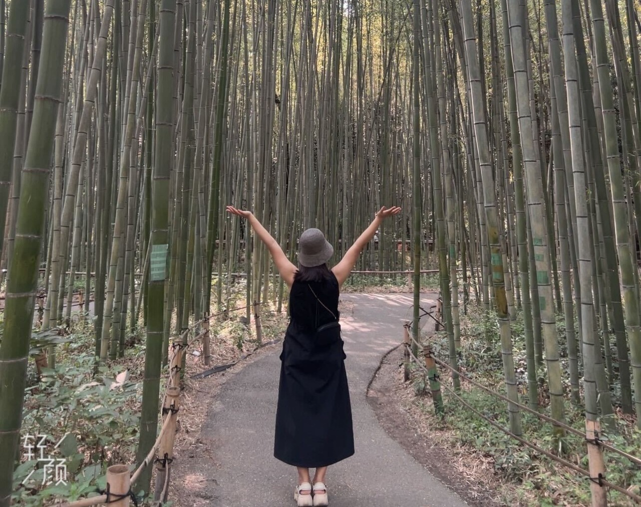 京都嵐山で撮った写真