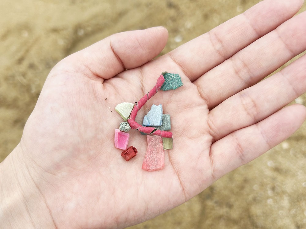 写真：プラスチックの破片を載せた掌