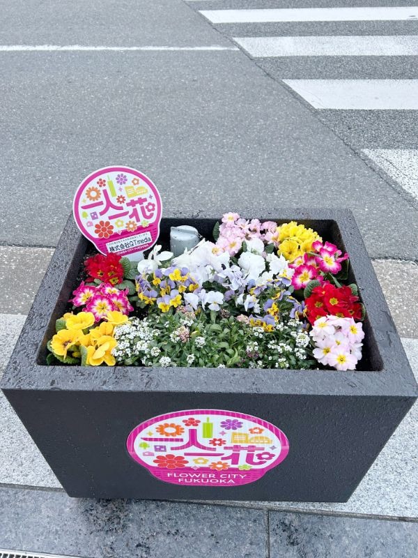 写真：色とりどりの草花が寄せ植えされた小さな花壇。後方に横断歩道が見える